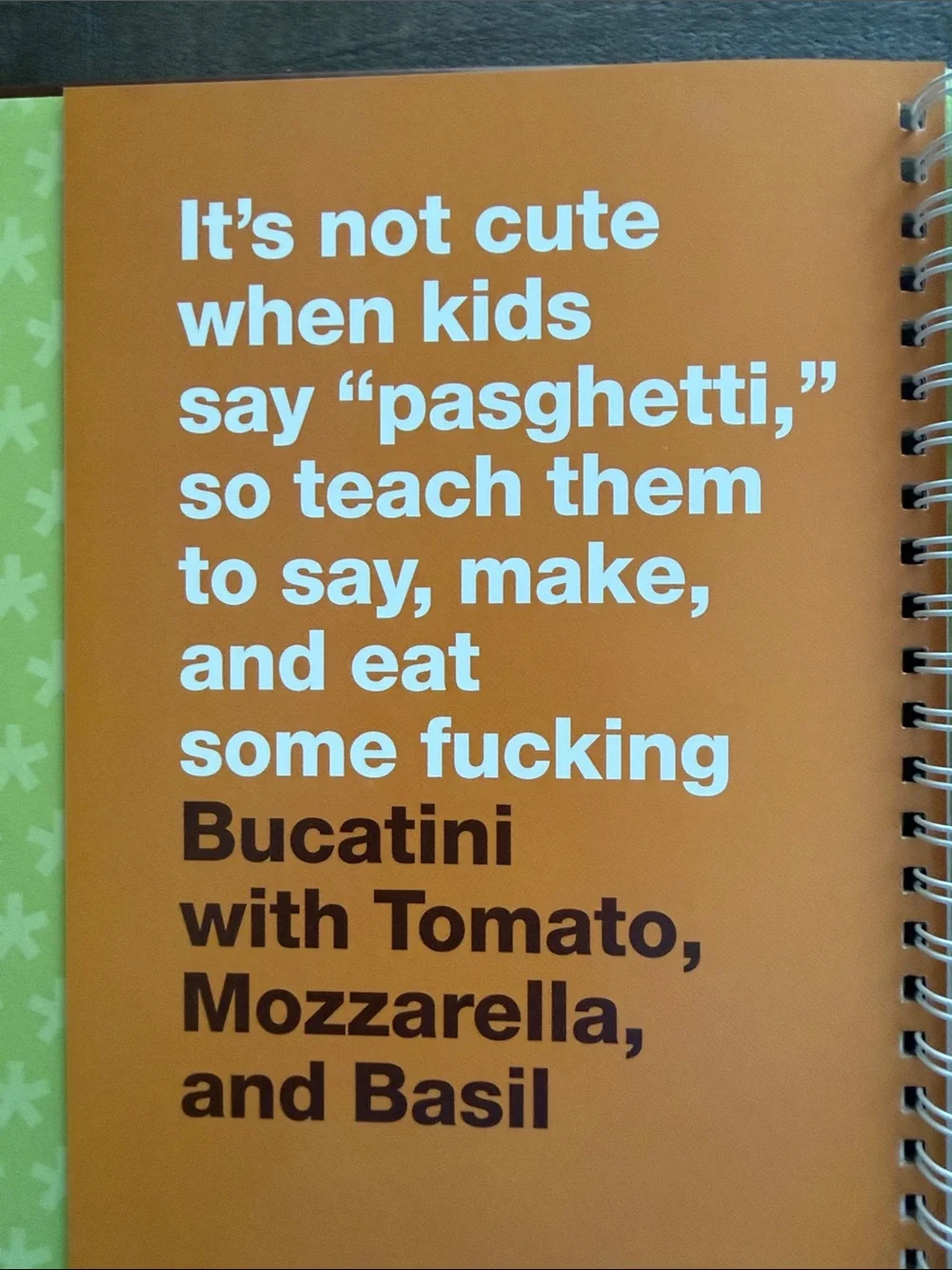 What the F*ck Should I Make for Dinner? Cookbook - Brown & Blue